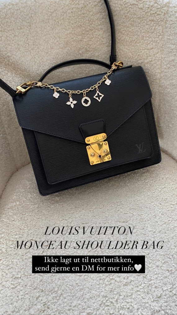 Louis Vuitton Monceau Bag