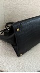 Celine Phantom Luggage Bag