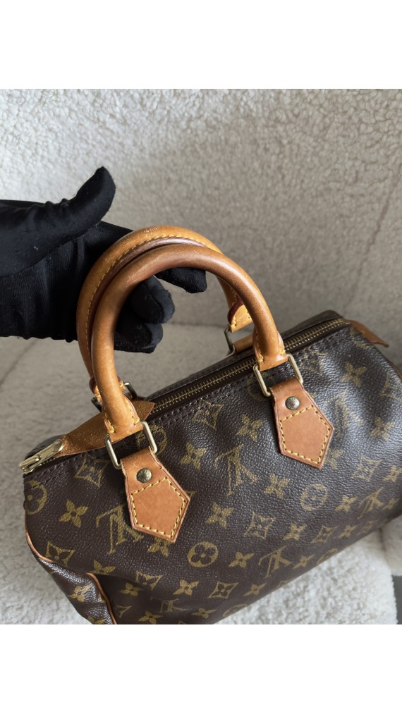 Louis Vuitton Speedy 25