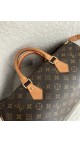 Louis Vuitton Speedy Size 35