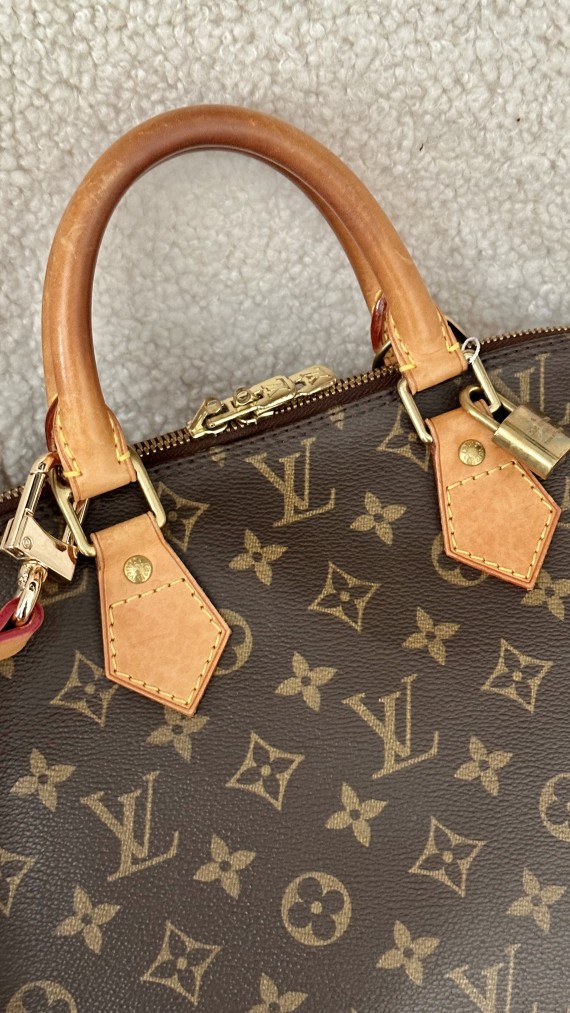 Louis Vuitton Alma PM Bag