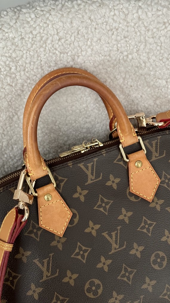 Louis Vuitton Alma PM Bag