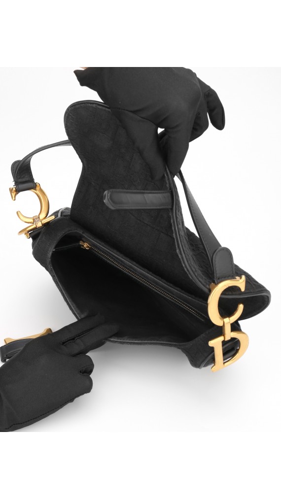 Dior Monogram Saddle Bag