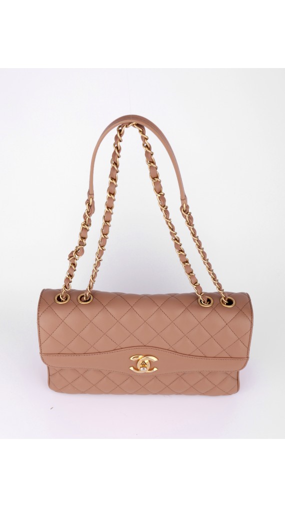 Chanel Sesonal Single Flap Bag