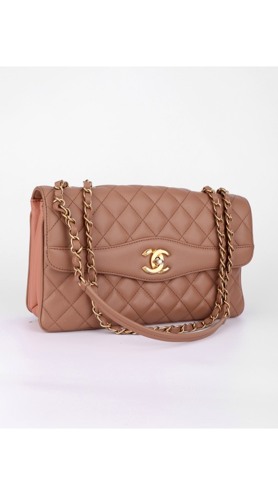 Chanel Sesonal Single Flap Bag