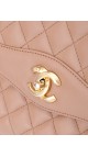 Chanel Sesonal Single Flap Bag