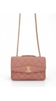 Chanel Single Flap Bag (Seasonal Limited Edition)