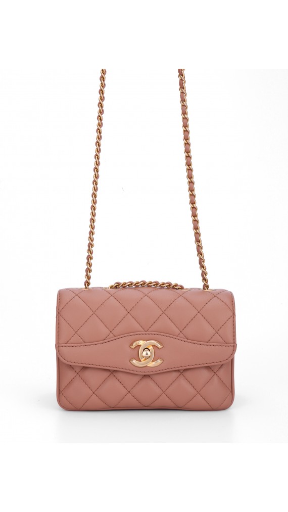 Chanel Single Flap Bag (Seasonal Limited Edition)