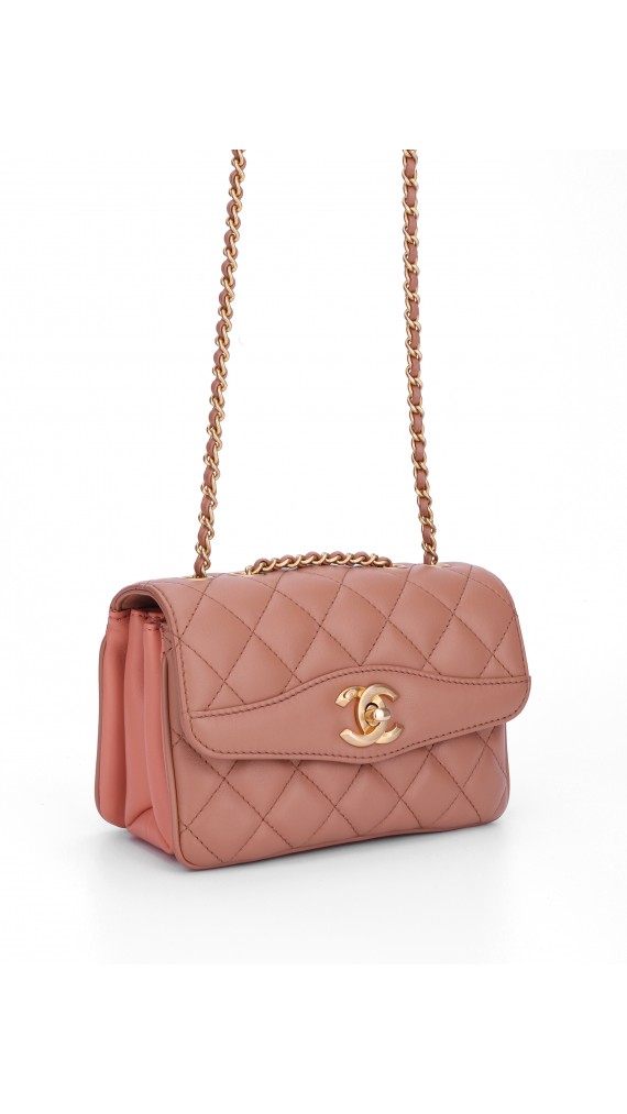 Chanel Single Flap Bag (Seasonal Limited Edition)