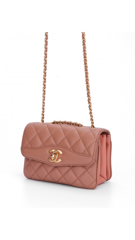 Chanel Single Flap Bag (Seasonal Limited Edition)