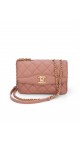 Chanel Single Flap Bag (Seasonal Limited Edition)