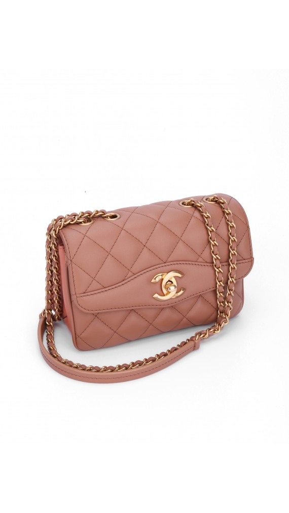 Chanel Single Flap Bag (Seasonal Limited Edition)