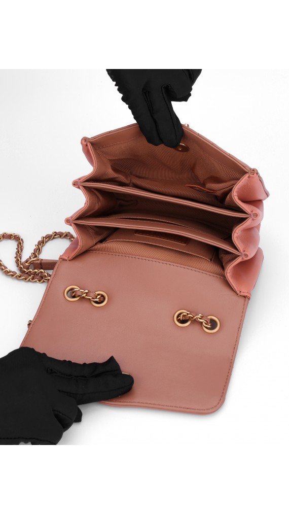 Chanel Single Flap Bag (Seasonal Limited Edition)