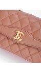 Chanel Single Flap Bag (Seasonal Limited Edition)