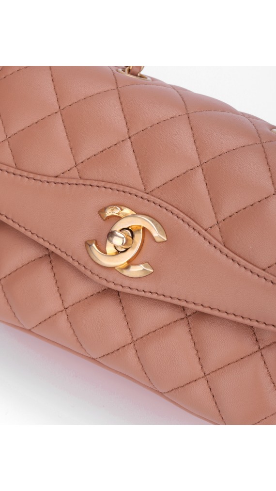 Chanel Single Flap Bag (Seasonal Limited Edition)