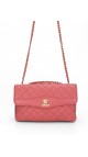 Chanel Single Flap Bag Seasonal Edition