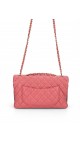 Chanel Single Flap Bag Seasonal Edition