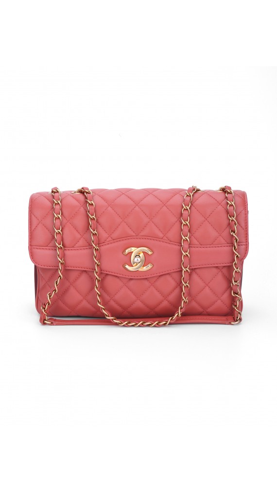 Chanel Single Flap Bag Seasonal Edition