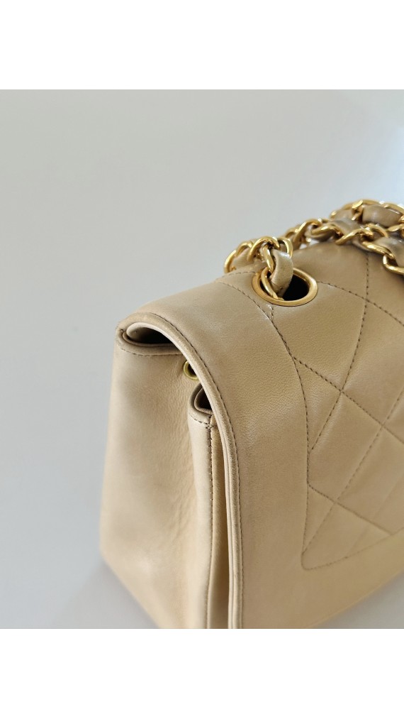 Chanel Diana Medium Shoulder bag