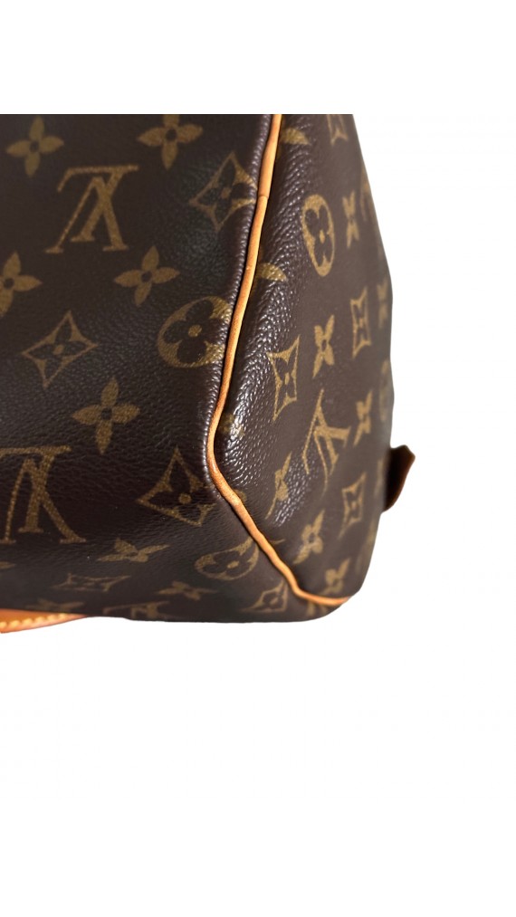 Louis Vuitton Speedy 25