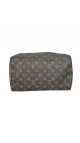 Louis Vuitton Speedy 30 Handbag