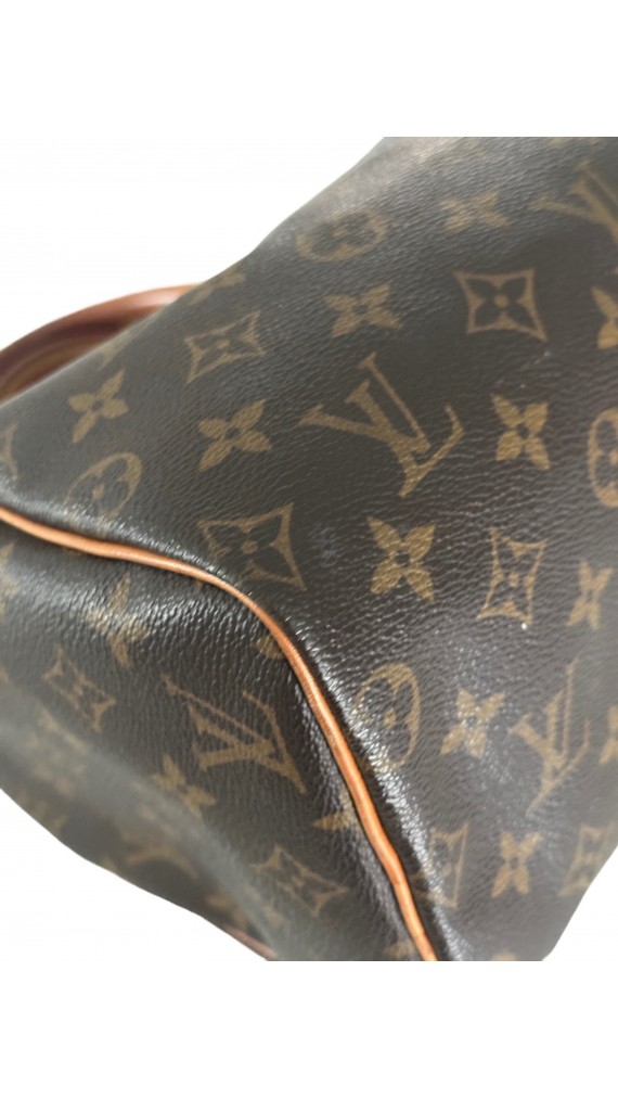 Louis Vuitton Speedy 25