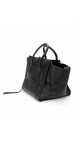 Celine Luggage Bag Phantom