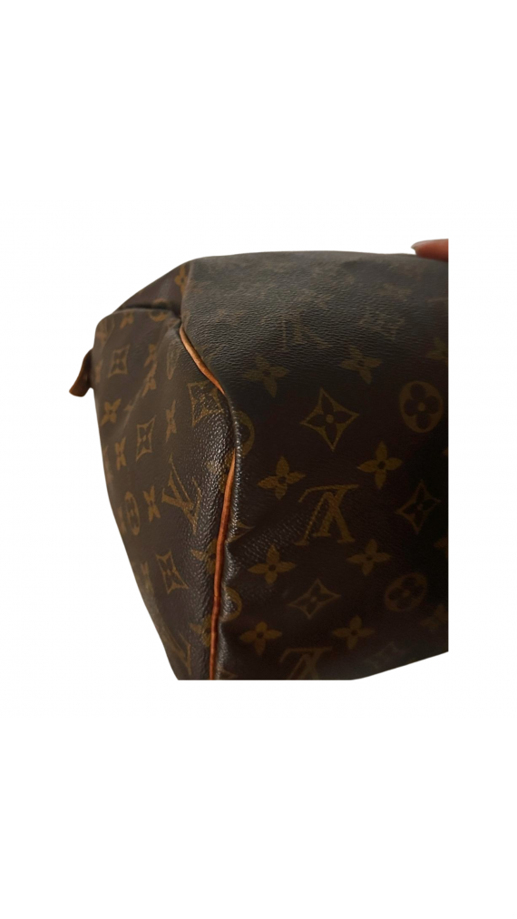 Louis Vuitton Speedy 30 Handbag