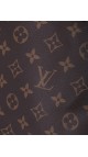 Louis Vuitton Pallas Shoulder Bag