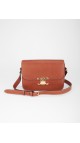 Celine CLASSIQUE Triomphe Shoulder Bag