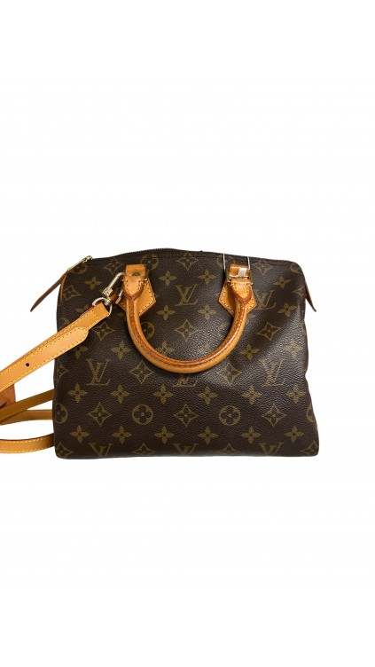 Louis Vuitton Speedy Monogram Bag