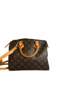 Louis Vuitton Speedy Monogram Bag