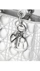 Lady Dior Metallic Size Small Handbag