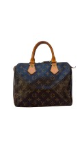 Louis Vuitton Speedy 25